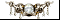 Знак Света